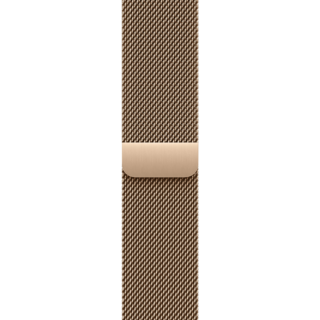 Умные часы Apple Watch Series 11 GPS + Cellular, 46mm Gold Titanium Case with Gold Milanese Loop - M/L
