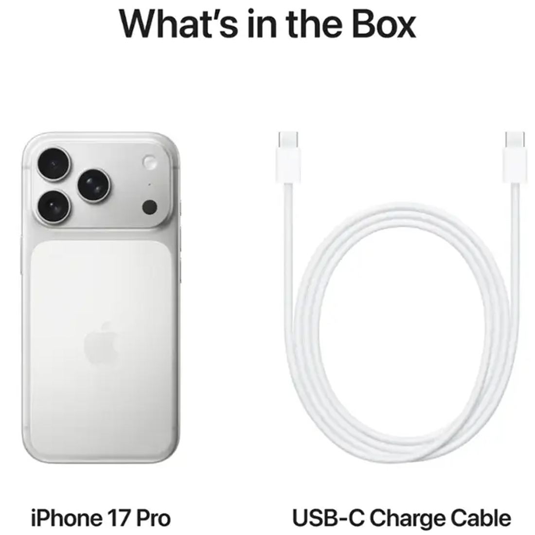 Смартфон Apple iPhone 17 Pro 256GB Silver (eSIM)